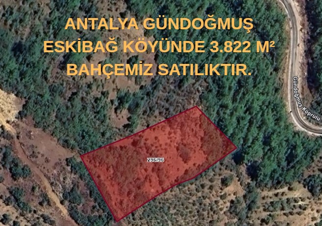 ANTALYA GÜNDOĞMUŞ ESKİBAĞ KÖYÜNDE 3.822 M² BAHÇEMİZ SATILIKTIR. - ANTALYA GÜNDOĞMUŞ fotoğraf 3